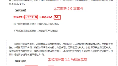 2025澳网迎来匹克球赛事，奖金高达10万美元